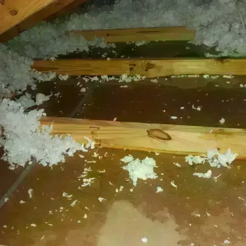 Attic Water Damage in Twin Lakes, WI