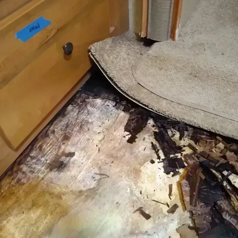 Best Wood Floor Water Damage Service in Twin Lakes, WI